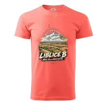 Liblice B vysílače v české krajině