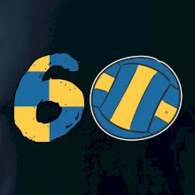 Volejbal kulaté narozeniny 60