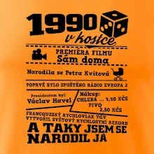 1990 v kostce