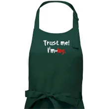 Trust me I´m an Ing. / Věř mi jsem Ing. Trust me I´m an Ing. / Věř mi jsem Ing.