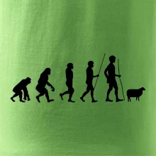 Evoluce pastevec ovcí