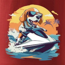 Bígl na vodním skútru