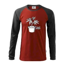 Konopi prostě pěstuju