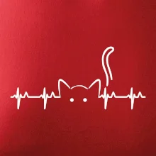 Kočka EKG Kočka EKG