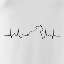 Stafordšírsky bulteriér EKG