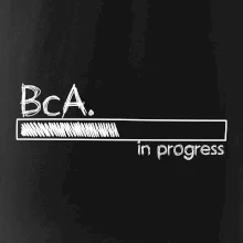 In progress  titul BcA. bakalář / bakalářka umění