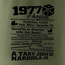 1977 v kostce