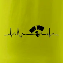 Jack Russell Terriér hrubosrstý Ekg