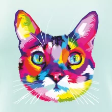 Kočka duhová hlava