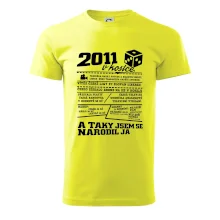 2011 v kostce