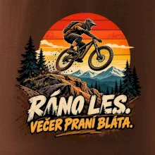 Ráno les večer praní bláta na kole