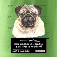 Lump a darebák mopsík