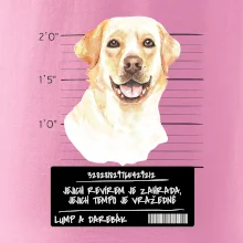 Lump a darebák labrador
