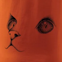 Kočičí oči černé