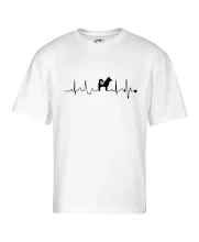 Shiba-Inu EKG
