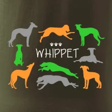 Whippet barevný