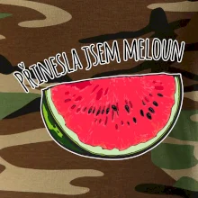 Přinesla jsem meloun
