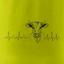 EKG křivka kráva