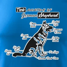 Německý ovčák - Anatomie