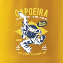 Capoeira  Afro-brazil art