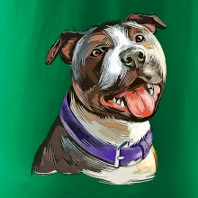 Americký stafordširský teriér  kreslený