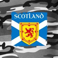 Skotská vlajka s erbem lva