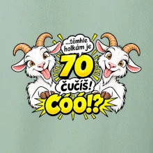 Těmhle holkám je 70, čučíš co?