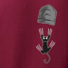 Kočka vypadla z kapsy