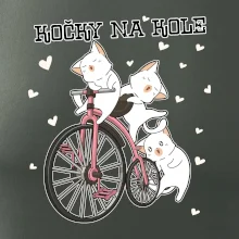 Kočky na kole