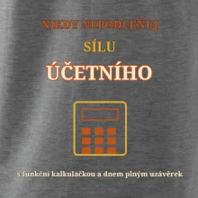 Nikdy nepodceňuj sílu účetního