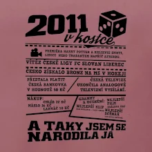2011 v kostce