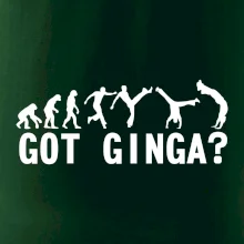 Capoeira - Got Ginga