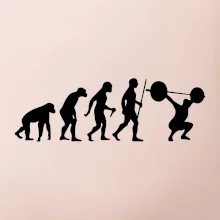 Evolution fitness