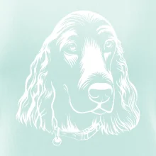 Kokršpaněl - hlava kreslená