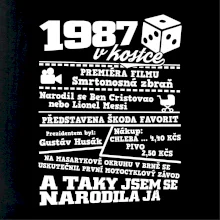1987 v kostce
