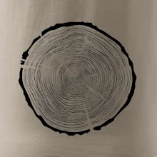 Letokruhy 85 bez věku