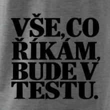 Vše co říkám bude v testu