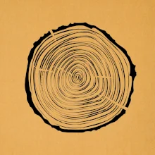 Letokruhy 25 bez věku