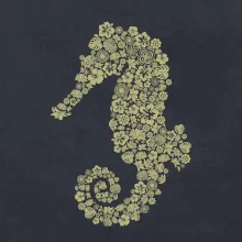 Sea Horse icons