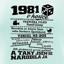 1981 v kostce