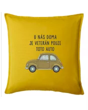 U nás doma je veterán pouze toto auto zelené