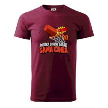 Dneska stavím barák samá cihla