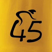 Cyklista slaví pětačtyřicítku (45)