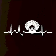 Lagotto romagnolo hlava EKG