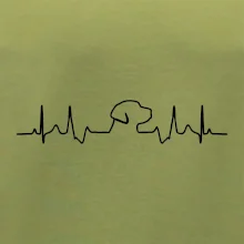 Labrador EKG