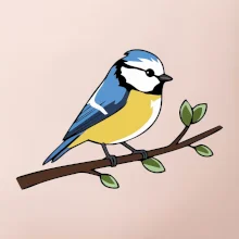 Sýkorka modřinka na větvi