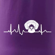 Lagotto romagnolo hlava EKG