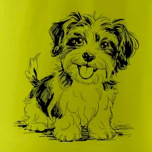 Havanský psík skica