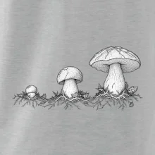 Životní cyklus hřibu