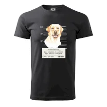 Lump a darebák labrador